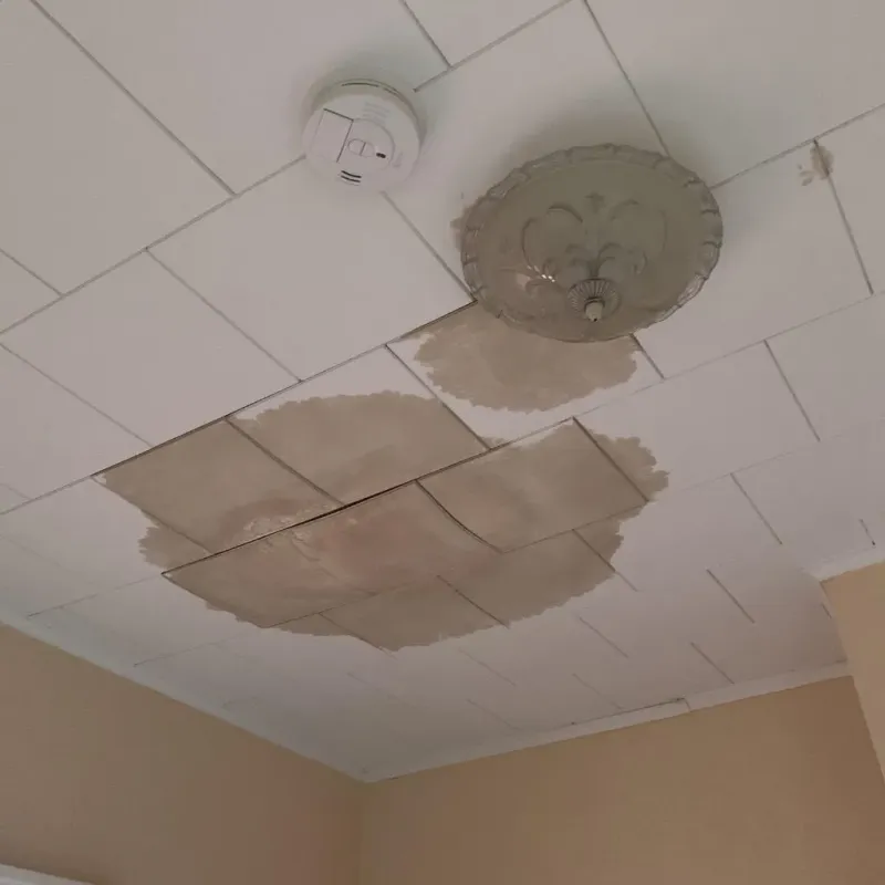 Ceiling Water Damage Repair in Weirton, WV
