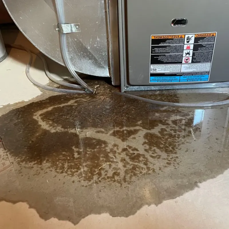 Pipe Burst and Leak Restoration in Weirton, WV